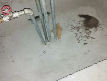 合阳卫生间测漏水价格明细